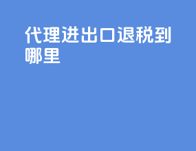 代理进出口退税到哪里