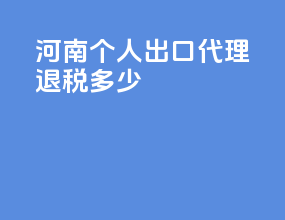 河南个人出口代理退税多少