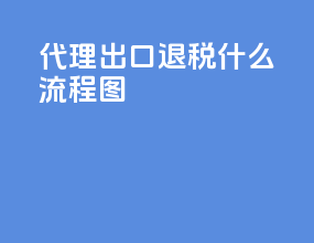代理出口退税什么流程图