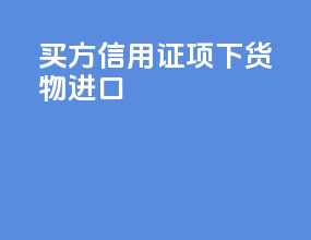 买方信用证项下货物进口