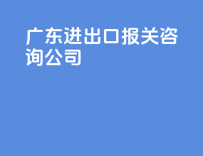 广东进出口报关咨询公司