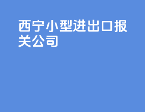 西宁小型进出口报关公司