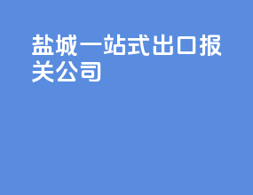 盐城一站式出口报关公司