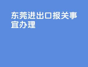 东莞进出口报关事宜办理