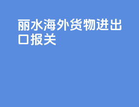 丽水海外货物进出口报关
