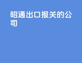 昭通出口报关的公司