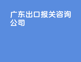 广东出口报关咨询公司