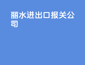 丽水进出口报关公司