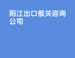 阳江出口报关咨询公司