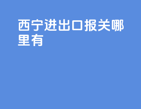 西宁进出口报关哪里有