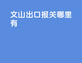文山出口报关哪里有