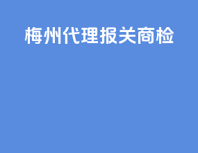 梅州代理报关商检