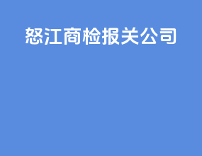 怒江商检报关公司