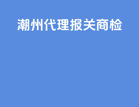 潮州代理报关商检