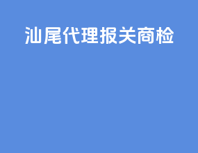 汕尾代理报关商检