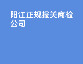 阳江正规报关商检公司
