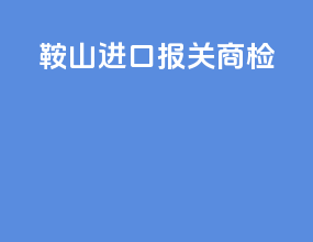 鞍山进口报关商检