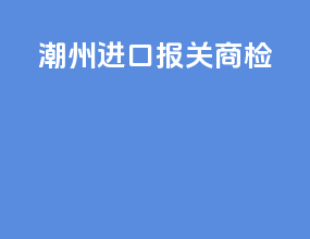 潮州进口报关商检