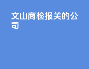 文山商检报关的公司