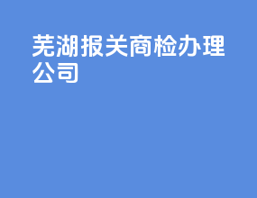 芜湖报关商检办理公司