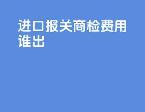 进口报关商检费用谁出