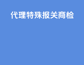 代理特殊报关商检