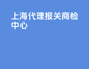上海代理报关商检中心
