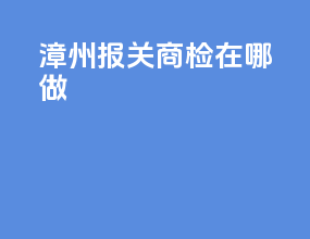 漳州报关商检在哪做