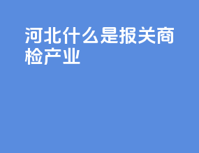 河北什么是报关商检产业