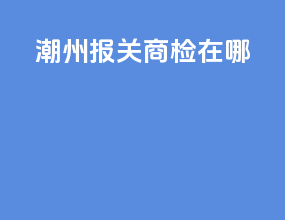 潮州报关商检在哪