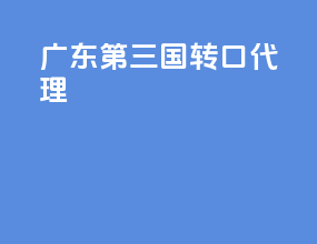 广东第三国转口代理