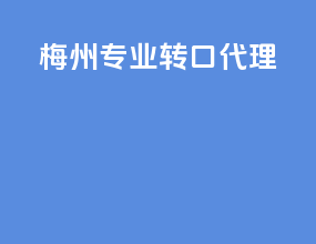 梅州专业转口代理