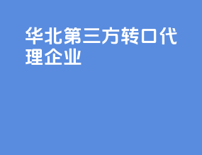 华北第三方转口代理企业
