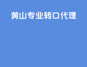 黄山专业转口代理
