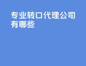 专业转口代理公司有哪些