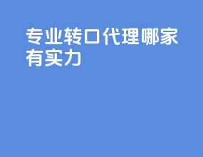 专业转口代理哪家有实力