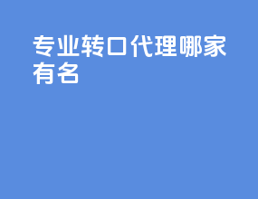 专业转口代理哪家有名