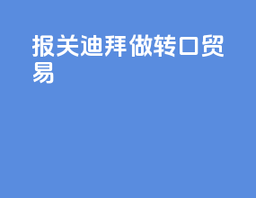 报关迪拜做转口贸易