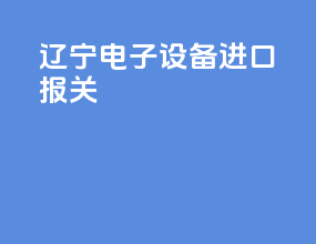 辽宁电子设备进口报关