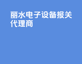 丽水电子设备报关代理商