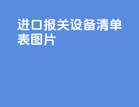 进口报关设备清单表图片