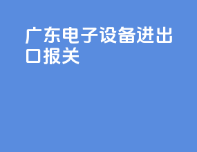 广东电子设备进出口报关