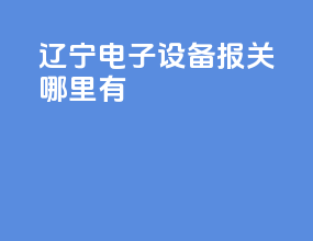 辽宁电子设备报关哪里有