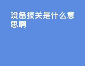 设备报关是什么意思啊