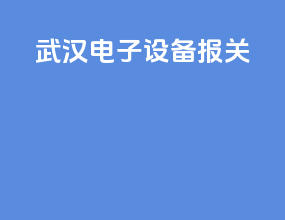 武汉电子设备报关