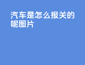 汽车是怎么报关的呢图片