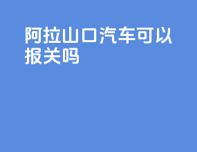 阿拉山口汽车可以报关吗