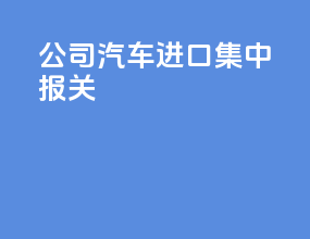 公司汽车进口集中报关