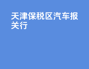 天津保税区汽车报关行
