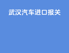 武汉汽车进口报关